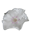 Kit de aromaterapia Completo