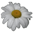Base decorativa Minimalista